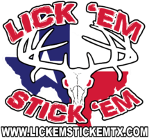 2020 new DECAL TEXAS